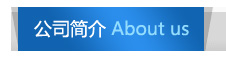 公司簡介